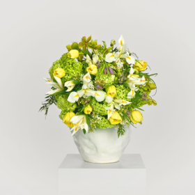 雪纺蕾丝 Chiffon Lace