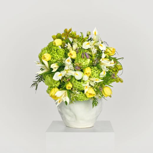 雪纺蕾丝 Chiffon Lace 商品图0