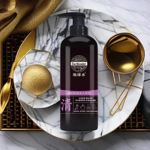地球水蓬松控油洗发原浆（清）608ml 商品图1