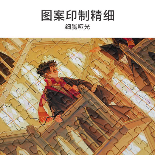 TOI图益-哈利波特系列-《旋转楼梯》-1000片 商品图6