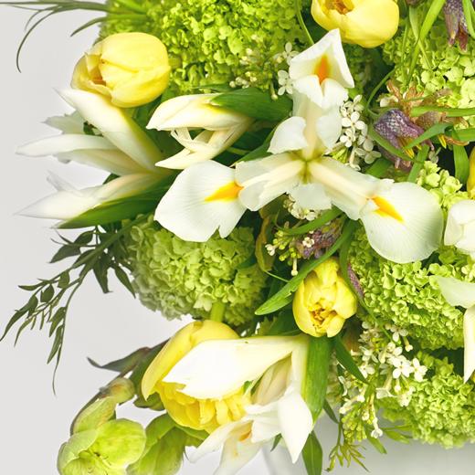 雪纺蕾丝 Chiffon Lace 商品图1