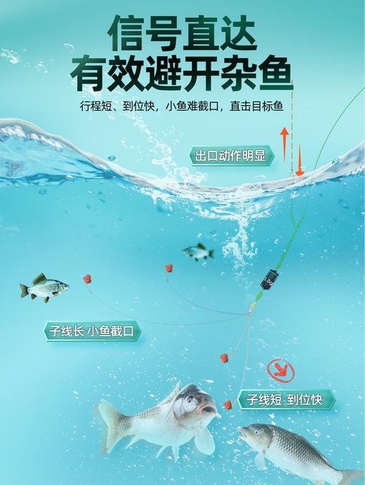 4.9元+160积分兑换 汉鼎战金袖金海夕子线双钩 商品图3