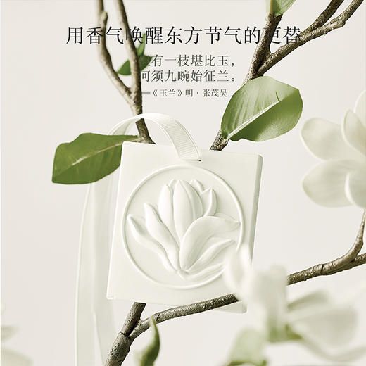 D-FK-xg03 赋刻 玉兰春晓 玉兰香挂 香氛 商品图4