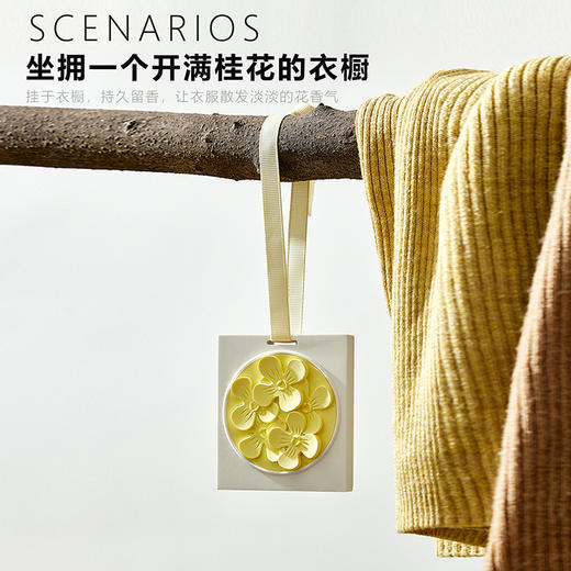 D-FK-xg02 赋刻 满陇桂雨 桂花香挂 香氛 商品图1