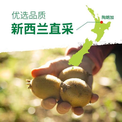 佳沛新西兰阳光金奇异果 原箱3.3kg(22头) 商品图3