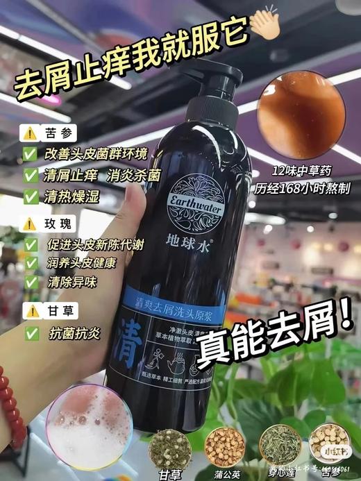 地球水清爽去屑洗头原浆（清） 商品图2