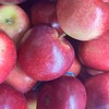 丹烁苹果 约500g/份 商品缩略图0