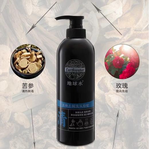 地球水清爽去屑洗头原浆（清） 商品图1