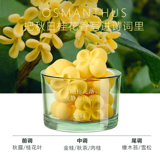 D-FK-kx01 赋刻 万山金桂 扩香石礼盒 商品图2