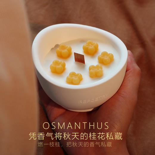 D-FK-lz01 赋刻 万山金桂 香薰蜡烛 商品图5