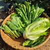 生态河南蔬菜箱（可自选）| 合作生产*ecological salad vegetable box  | Coproduction 商品缩略图1