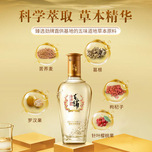 【全新升级】500ml42度毛铺金荞酒升级标准版 商品图5