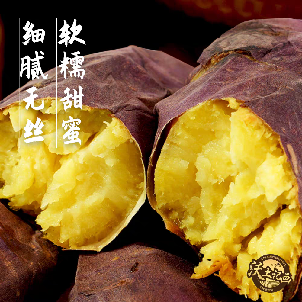 辽西文君甘薯3号精品薯 4.8斤 地瓜
