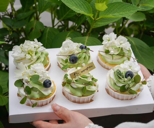 森系纸杯（提前三小时预定） 商品图1