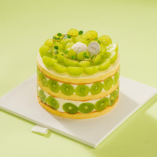 阳光多肉椰椰脆 商品图1