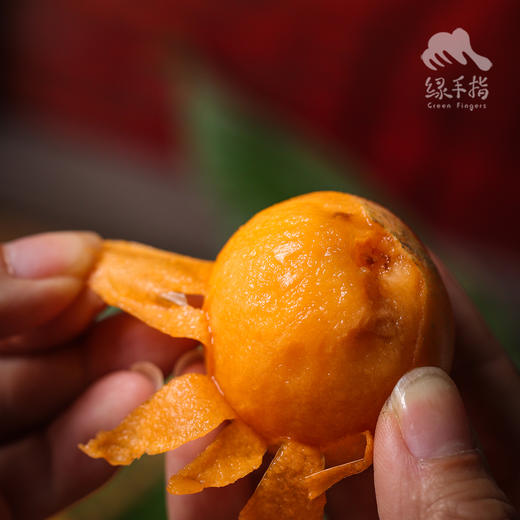 生态枇杷 | 合作生产*Ecological loquat | Coproduction 商品图1