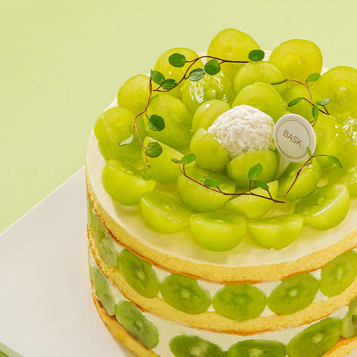 阳光多肉椰椰脆 商品图2