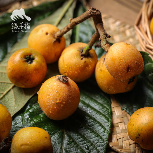 生态枇杷 | 合作生产*Ecological loquat | Coproduction 商品图2