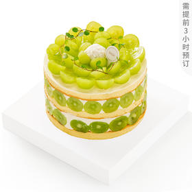 阳光多肉椰椰脆