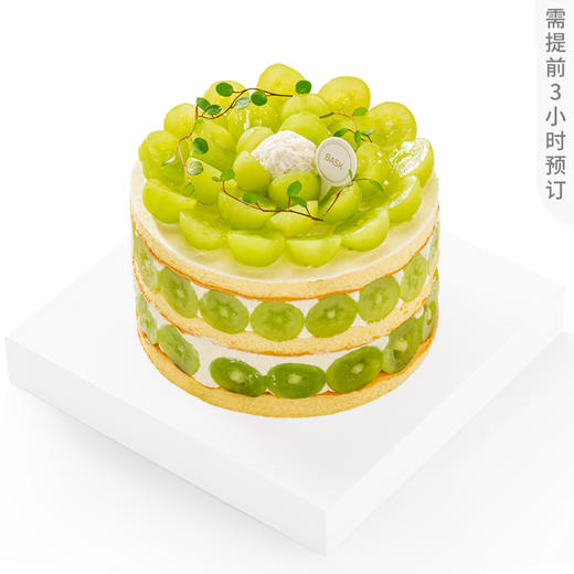 阳光多肉椰椰脆 商品图0