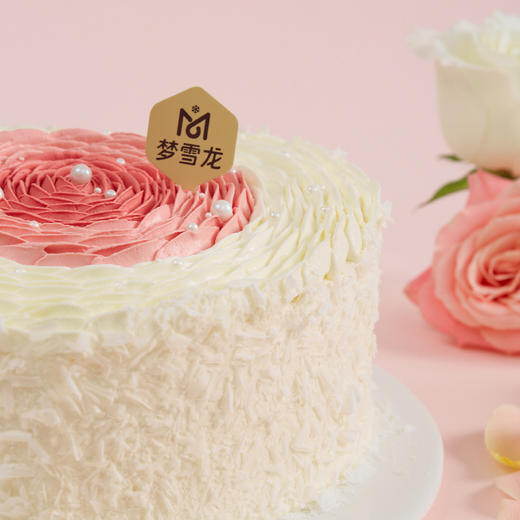 纪念日冰淇淋蛋糕 |  梦雪龙 商品图2