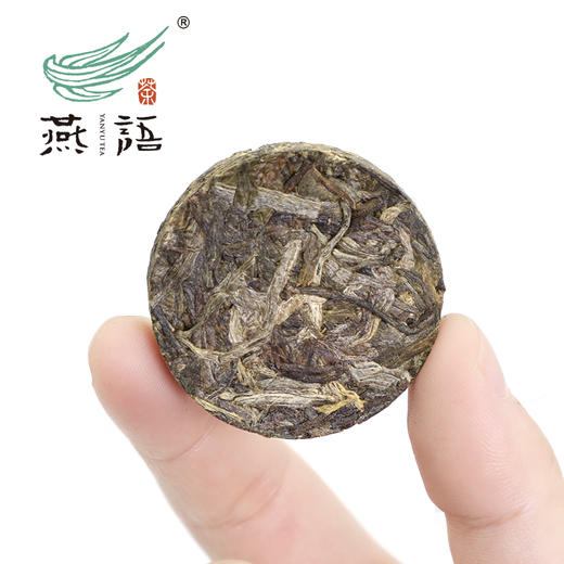 福满·普洱生茶小圆饼礼盒240g 商品图2
