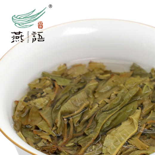 福满·普洱生茶小圆饼礼盒240g 商品图4