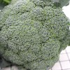 生态西蓝花（下单后一周左右发出） | 合作生产 * Ecological Broccoli |  Partner Production 商品缩略图3