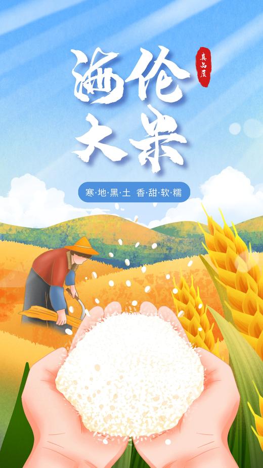 海伦海京秋稻夫大米-硒都香米5kg装 商品图3