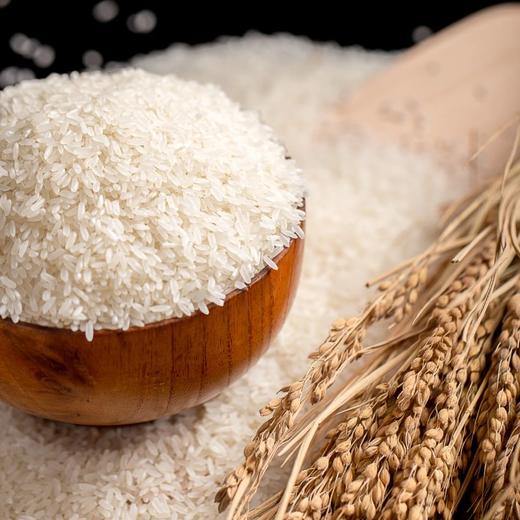 海伦海京秋稻夫大米-硒都香米5kg装 商品图2