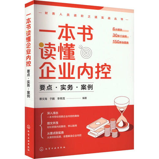 一本书读懂企业内控 要点·实务·案例 商品图0
