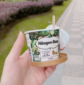 哈根达斯开心果奶霜81g