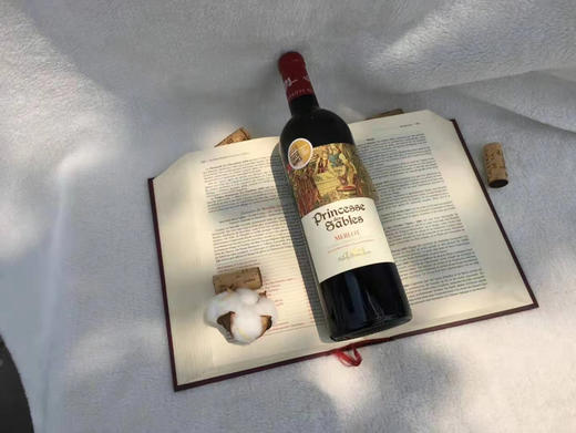萨波公主美乐干红葡萄酒 商品图0