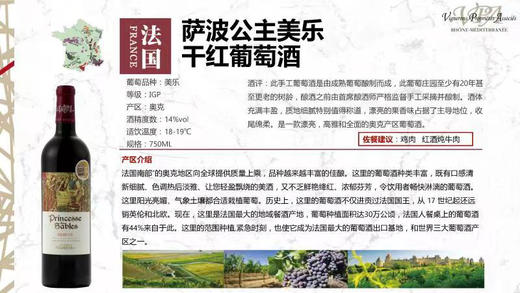 萨波公主美乐干红葡萄酒 商品图3