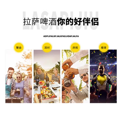 拉萨啤酒330-628ml/瓶 商品图4