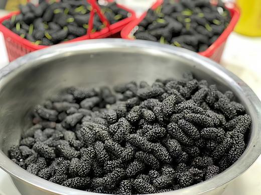 桑葚香缇 商品图2