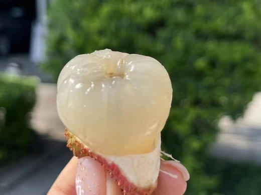 桂花香荔枝、滑润Q嫩，果肉晶莹剔透 一口爆汁 商品图4