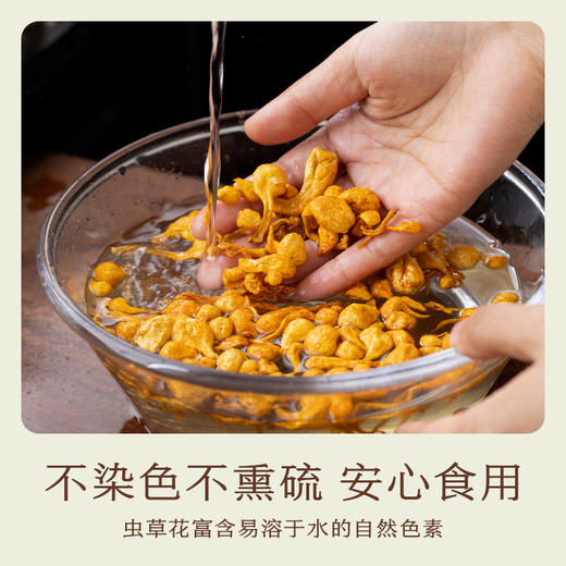 南食召 蛹虫草 商品图4