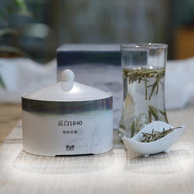 「云白1840」一口清甜蜜韵，2024年有活性的全芽头白茶（75g）