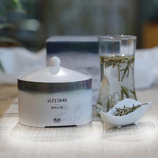 「云白1840」一口清甜蜜韵，2024年有活性的全芽头白茶（75g） 商品图0