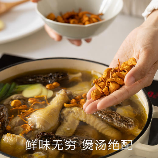 南食召 蛹虫草 商品图3