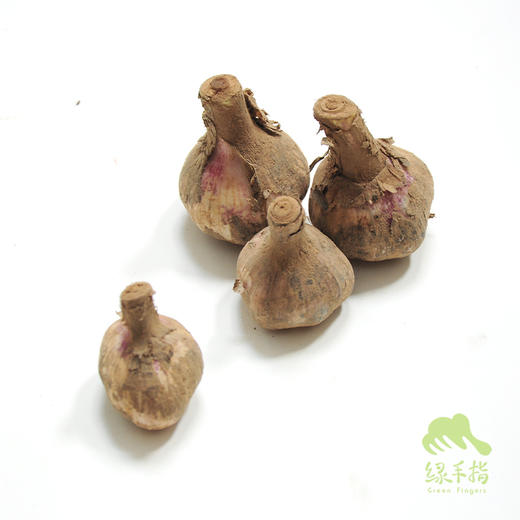 生态山东大蒜（干） | 合作生产*Ecological fresh garlic | Coproduction 商品图3