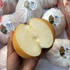 DH「南水梨」绿色食品 中大果 2个 约0.9~1kg 商品缩略图0