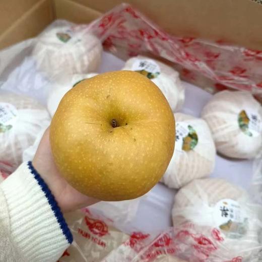 DH「南水梨」绿色食品 中大果 2个 约0.9~1kg 商品图3