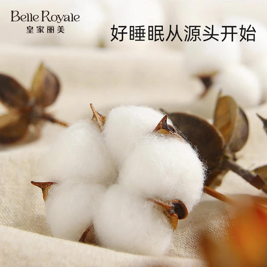 春夏薄款纯棉家居服睡衣女款卡通套头短袖长裤套装JJT9160 商品图4