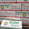 DH「南水梨」绿色食品 中大果 2个 约0.9~1kg 商品缩略图7