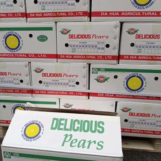 DH「南水梨」绿色食品 中大果 2个 约0.9~1kg 商品图7