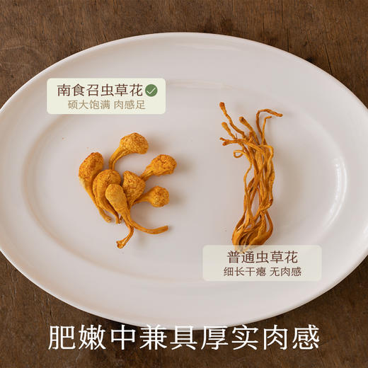 南食召 蛹虫草 商品图1