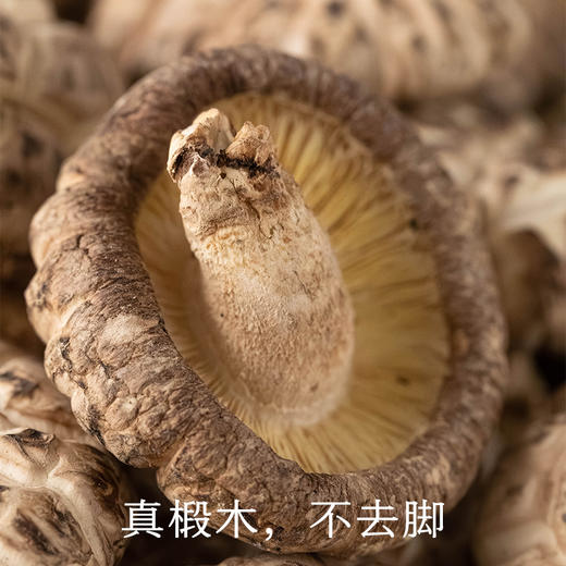 南食召 椴木冬菇 商品图3