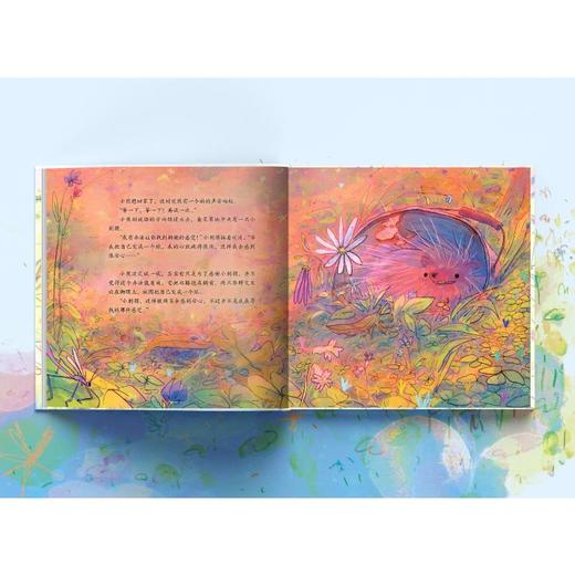 寻找拥抱的熊 商品图2